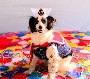 ESTÂNCIA PET EDIÇÃO CARNAVAU | Casa do Lago